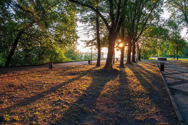 утро, рассвет, город, парк, лето Утро в городском паркеphoto preview