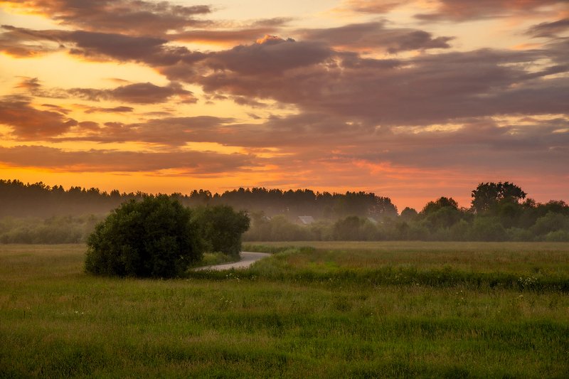 архангельская обасть, белая ночь, русский север, заброшенные деревни, закат, летний вечер, туман Кочневскаяphoto preview