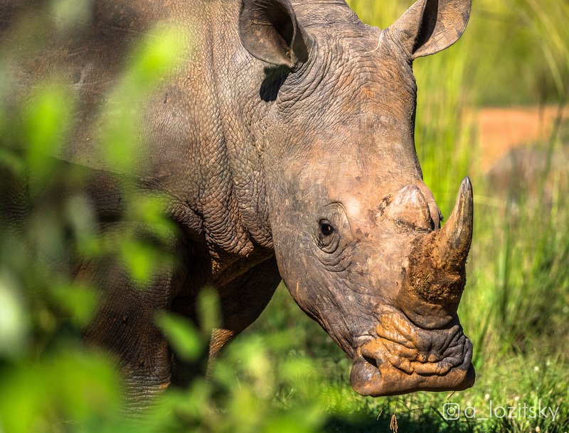 Угандаphoto preview