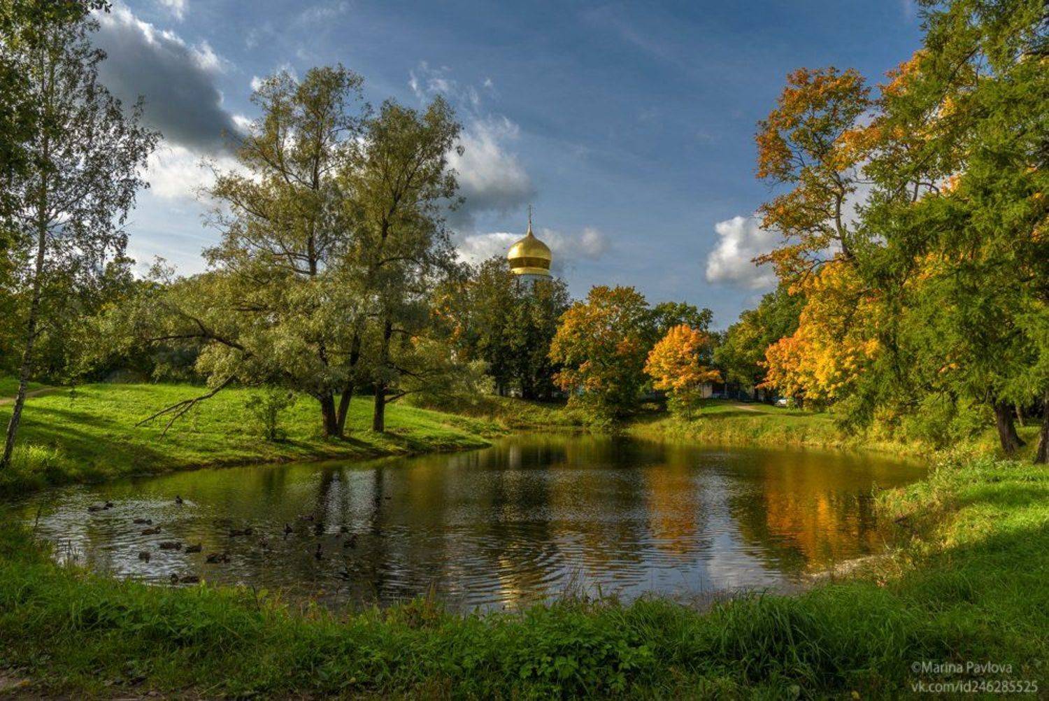 Осень в Царском Селе.... Автор: Марина Павлова город, пушкин, царское село, собор феодоровской иконы божией матери, храм,собор, осень, пригороды петербурга, Марина Павлова