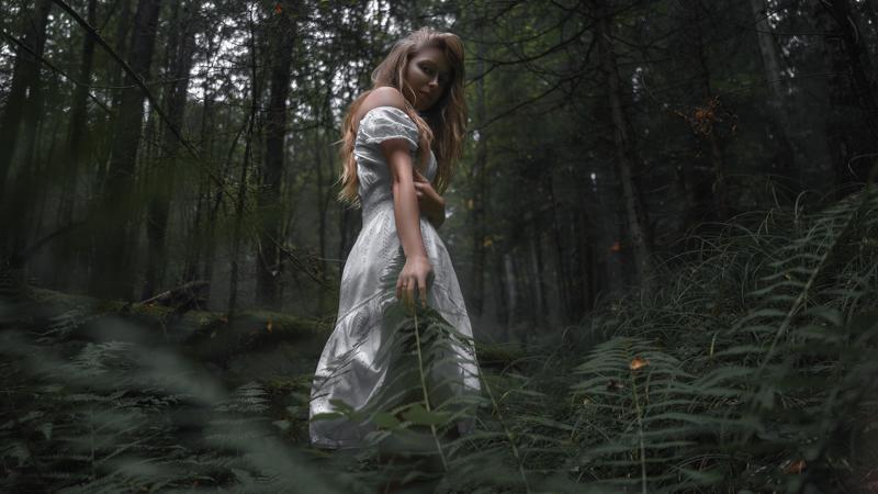 WILD FERNphoto preview