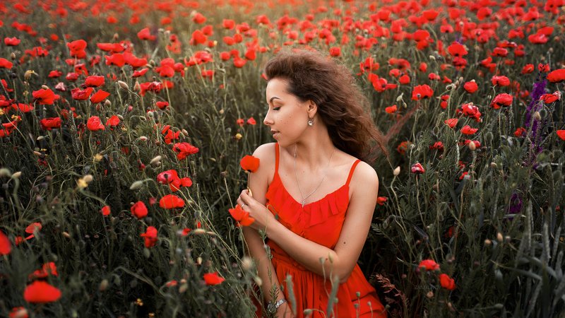 девушка, модель, портрет, девочка, женский портрет, art, female portait, popular, woman, model Катяphoto preview