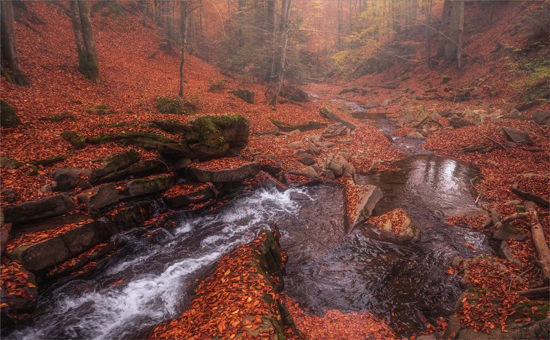 Осенняя симфонияphoto preview