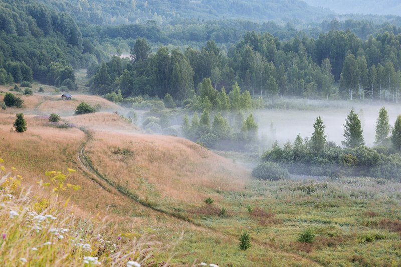 псковская, область Изборско-Мальская долинаphoto preview