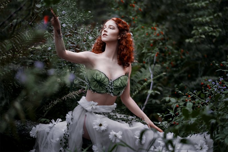 forest #covid The Magic of Forest photo preview