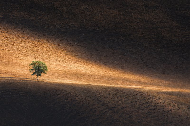 В солнечных лучахphoto preview