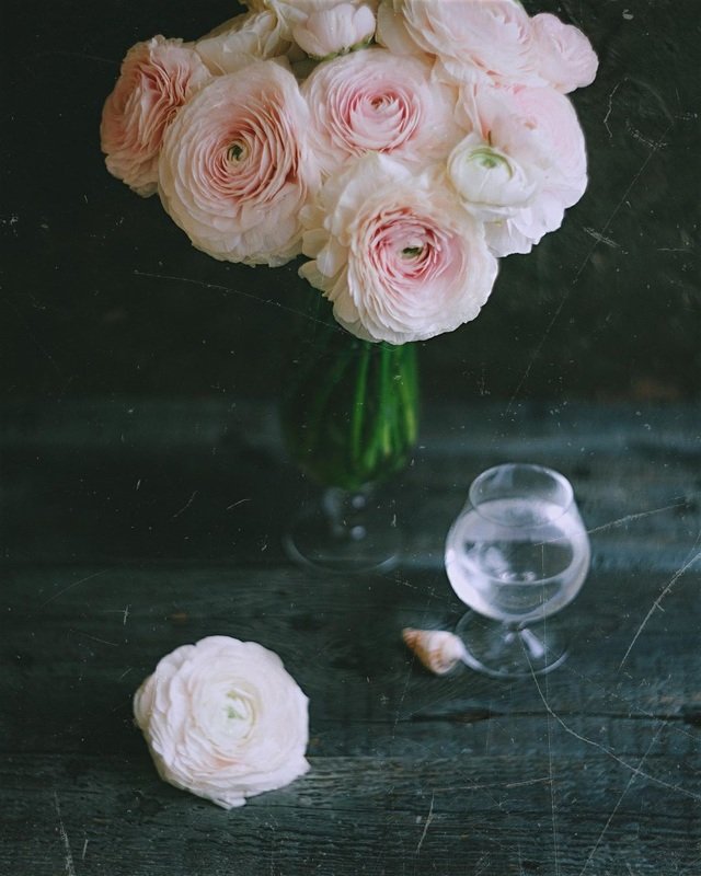 цветы, букет, нежность, свет photo preview