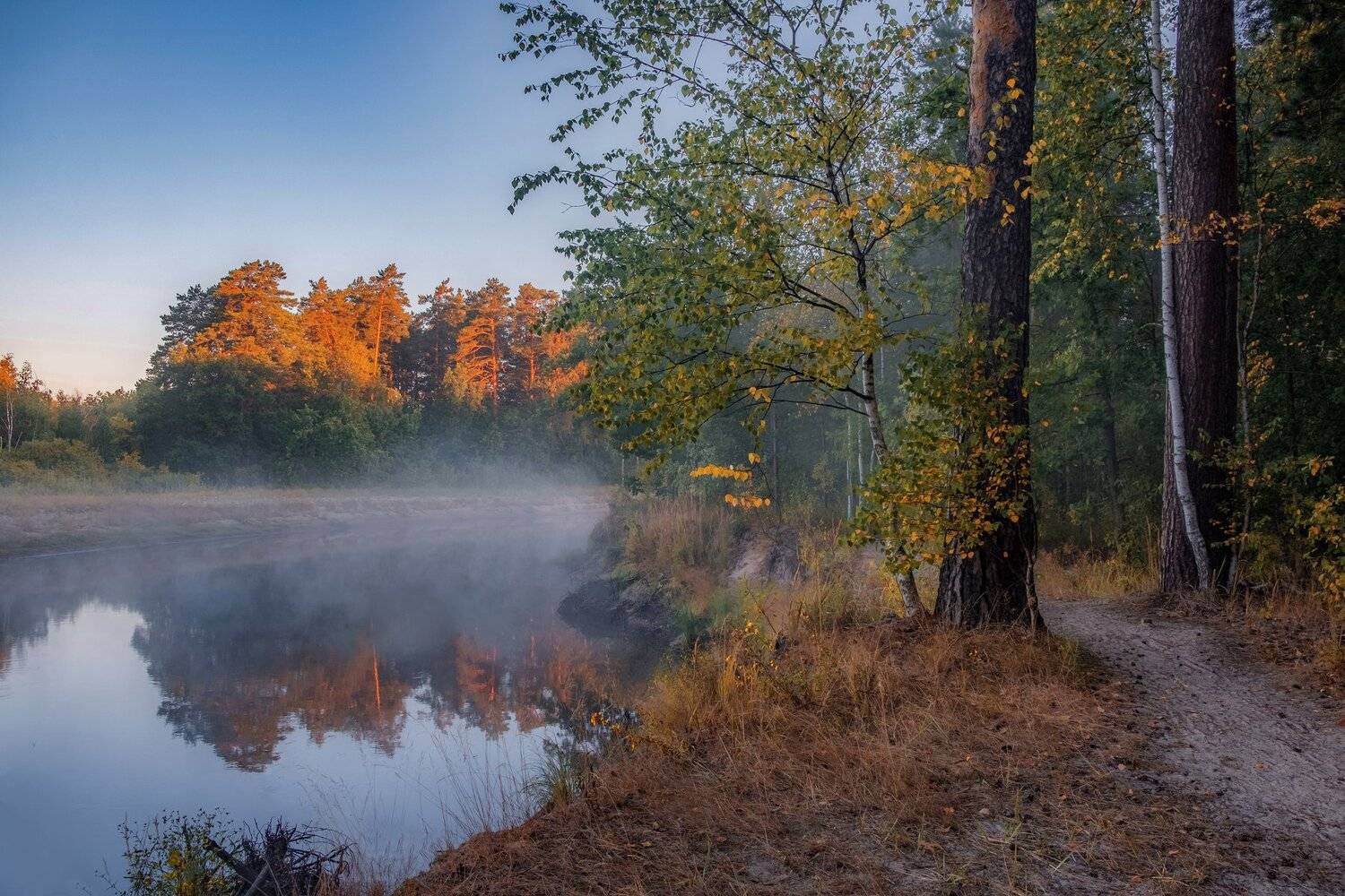 Однажды осенним туманным утром.... Автор: Екатерина , Екатерина
