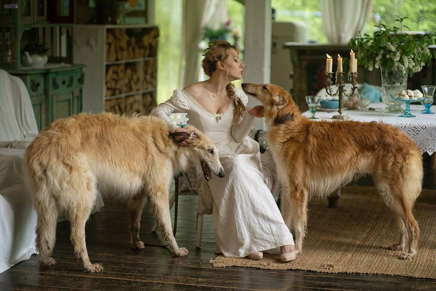 девушка, борзые, собаки, терраса, лето, ретро, аристократия, Янина Ермакова