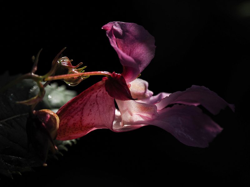 осенним утромphoto preview