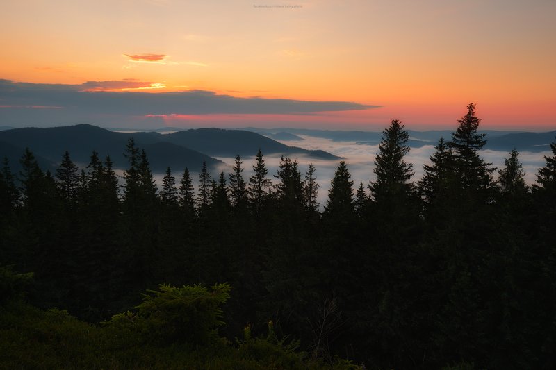 туман, рассвет, горы, карпаты, лес, деревья, природа На рассветеphoto preview