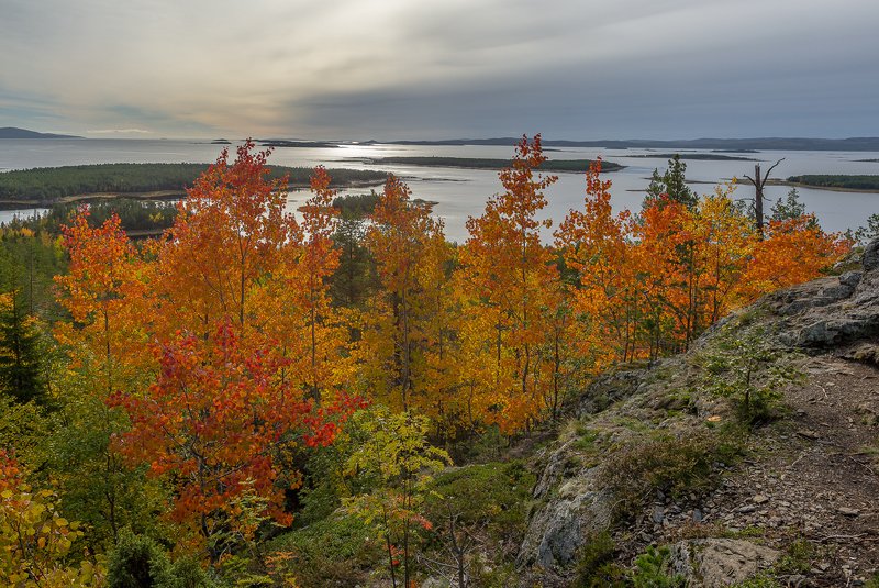 ...осень на Кольскомphoto preview