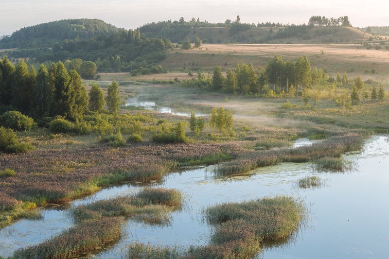псковская, область Изборско-Мальская долинаphoto preview