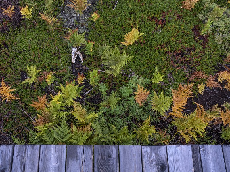 Натюрморт фото превью