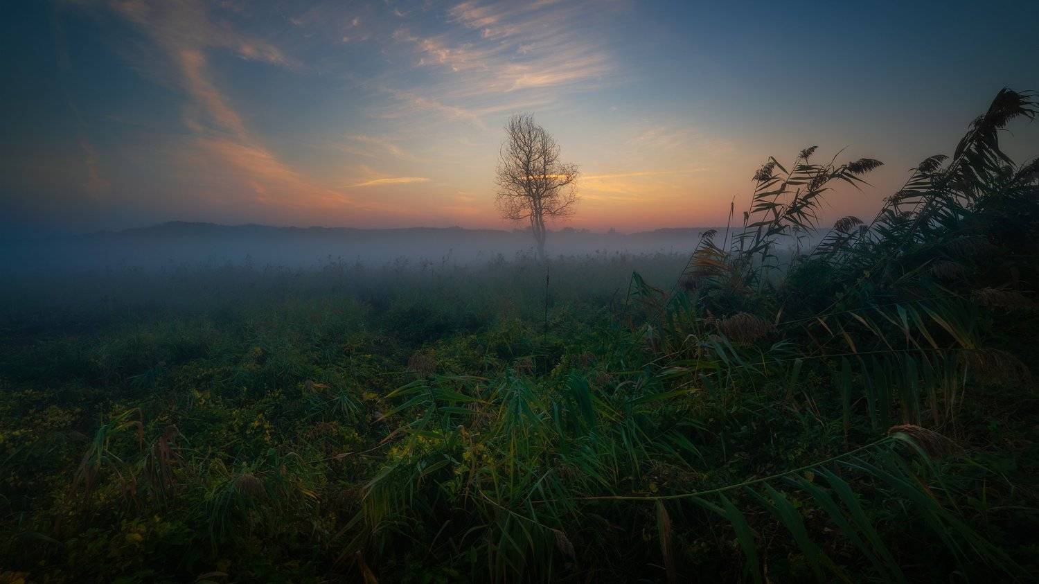 Мне малым-мало спалось .... Автор: Alexander Plekhanov , Alexander Plekhanov