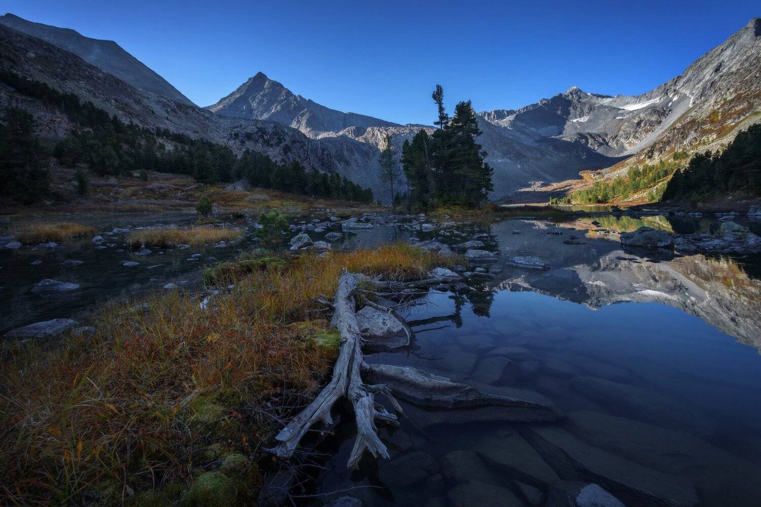 Отражение. Автор: Шевченко Николай алтай, озеро, горы, лес, природа, закат, рассвет, красота, приключения, путешествие, Шевченко Николай