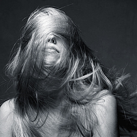 Portrait of a photographer (avatar) Darn Cat