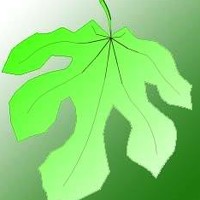 Portrait of a photographer (avatar)  Дмитрий