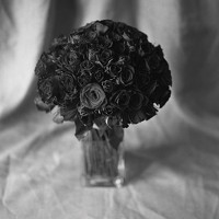 Portrait of a photographer (avatar) Anna Filippova
