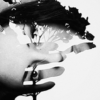 Portrait of a photographer (avatar) panda99