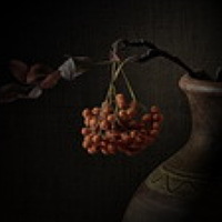 Portrait of a photographer (avatar) Gennadiy Shin