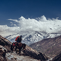 Portrait of a photographer (avatar) jackvodogrei