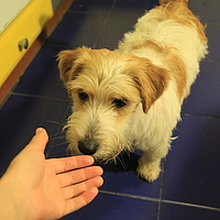 Portrait of a photographer (avatar) апрпар (апрар)