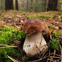 Portrait of a photographer (avatar) Андрей Балабин