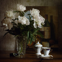 Portrait of a photographer (avatar) Татьяна Бело (Tanna Belo)