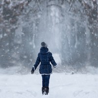 Portrait of a photographer (avatar) Leyla Fedina