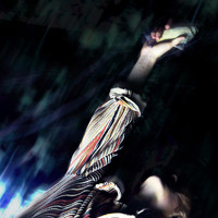 Portrait of a photographer (avatar) Lisnov742