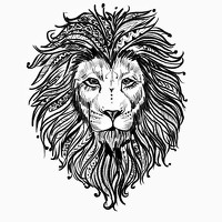 Portrait of a photographer (avatar) Balaji Ponnambalam