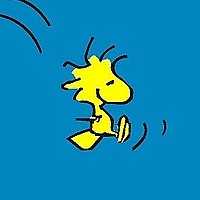 Portrait of a photographer (avatar) Jane