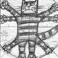 Portrait of a photographer (avatar) Canoneer5