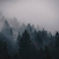 Portrait of a photographer (avatar) Sergio A.D. (undefined)