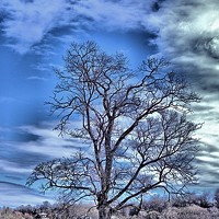 Portrait of a photographer (avatar) Борис Коренков (Boris)