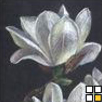 Portrait of a photographer (avatar) Mikołaj (Martyna)