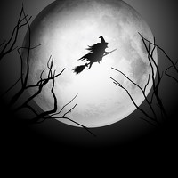 Portrait of a photographer (avatar) bubi