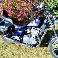 Portrait of a photographer (avatar) Michel Myster (Michel MYSTER)