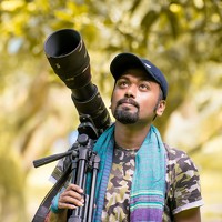 Portrait of a photographer (avatar) Kajol Dey