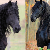 Portrait of a photographer (avatar) Полина Савина (Polina Savina)