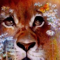 Portrait of a photographer (avatar) tbagle