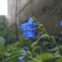 Portrait of a photographer (avatar) Павел Малков (Pawel Malkow)