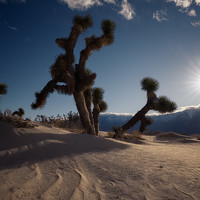 Portrait of a photographer (avatar) Carlos Cuervo-Arango