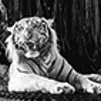 Portrait of a photographer (avatar) Выдрин Виктор (Viktor Vydrin)