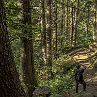 Portrait of a photographer (avatar) Rafael Manukyan