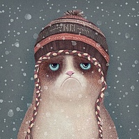 Portrait of a photographer (avatar) Alex G