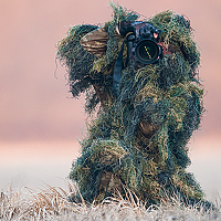 Portrait of a photographer (avatar) Zlatko Borenović