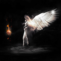 Portrait of a photographer (avatar) Angel