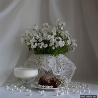 Portrait of a photographer (avatar) Лилия Вишневская (Liliya Vishnevskaya)